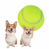 Set 24 mingi tenis, jucarie ideala si pentru caini, 60 mm, EFG1288